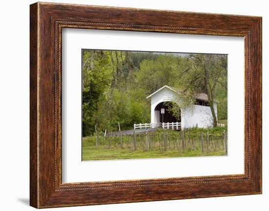 USA, Oregon, Philomath. Harris Bridge Vineyard by the Covered Bridge-Janis Miglavs-Framed Photographic Print