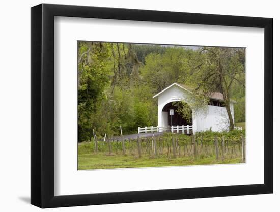 USA, Oregon, Philomath. Harris Bridge Vineyard by the Covered Bridge-Janis Miglavs-Framed Photographic Print