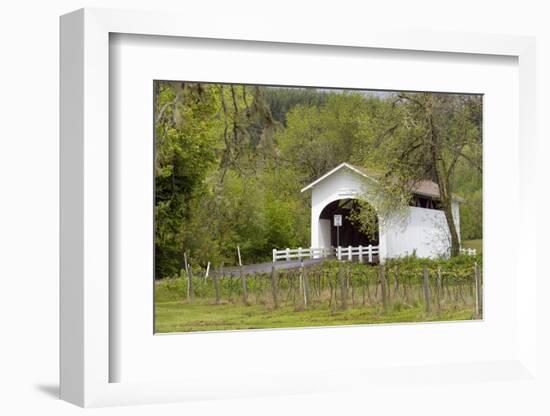USA, Oregon, Philomath. Harris Bridge Vineyard by the Covered Bridge-Janis Miglavs-Framed Photographic Print
