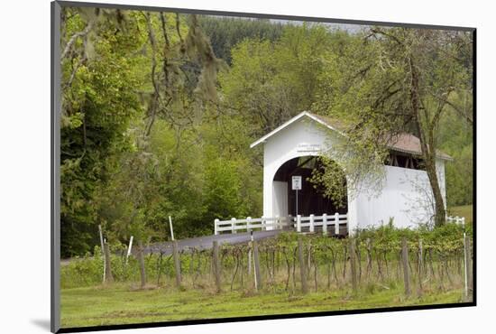 USA, Oregon, Philomath. Harris Bridge Vineyard by the Covered Bridge-Janis Miglavs-Mounted Photographic Print