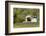 USA, Oregon, Philomath. Harris Bridge Vineyard by the Covered Bridge-Janis Miglavs-Framed Photographic Print