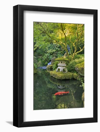 USA, Oregon, Portland. Koi pond in a garden.-Jaynes Gallery-Framed Photographic Print