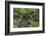 USA, Oregon, Portland, Lantern in a garden.-Rob Tilley-Framed Photographic Print