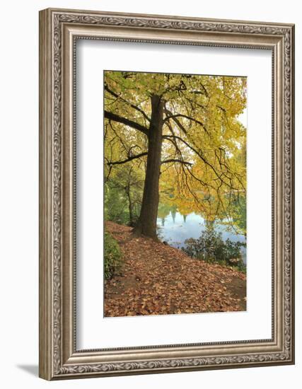 Usa, Oregon, Portland. Pond at Laurelhurst Park.-Jaynes Gallery-Framed Photographic Print