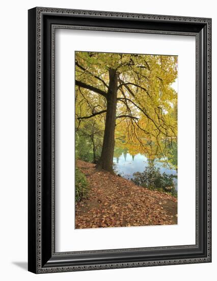 Usa, Oregon, Portland. Pond at Laurelhurst Park.-Jaynes Gallery-Framed Photographic Print