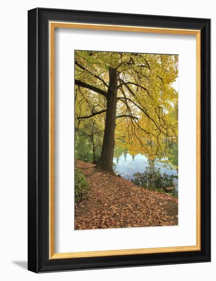 Usa, Oregon, Portland. Pond at Laurelhurst Park.-Jaynes Gallery-Framed Photographic Print