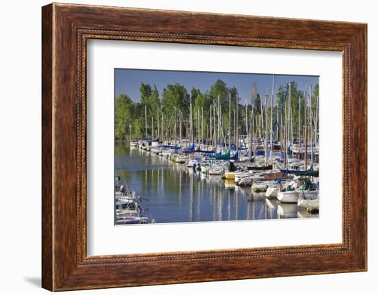 USA, Oregon, Portland. Sailboats docked in Tomahawk Bay.-Jaynes Gallery-Framed Photographic Print