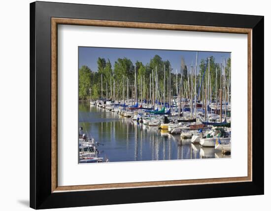 USA, Oregon, Portland. Sailboats docked in Tomahawk Bay.-Jaynes Gallery-Framed Photographic Print