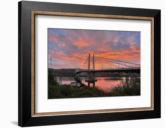 USA, Oregon, Portland. Tilikum Bridge Crossing and Willamette River at sunset.-Jaynes Gallery-Framed Photographic Print