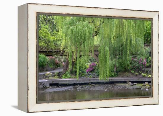 USA, Oregon, Portland, Weeping willow above small creek and blooming azalea.-John Barger-Framed Premier Image Canvas