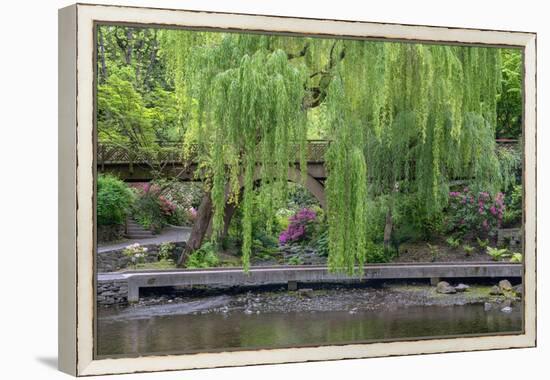 USA, Oregon, Portland, Weeping willow above small creek and blooming azalea.-John Barger-Framed Premier Image Canvas