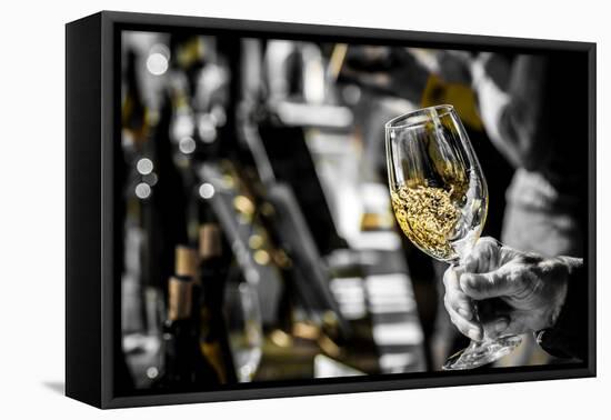 USA, Oregon, Portland. White wine swirl in glass at Portland wine tasting event.-Richard Duval-Framed Premier Image Canvas
