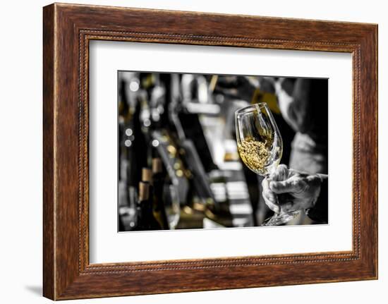 USA, Oregon, Portland. White wine swirl in glass at Portland wine tasting event.-Richard Duval-Framed Photographic Print