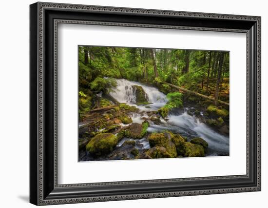 USA, Oregon, Prospect. Pearsony Falls near the Prospect State Scenic Viewpoint.-Christopher Reed-Framed Photographic Print