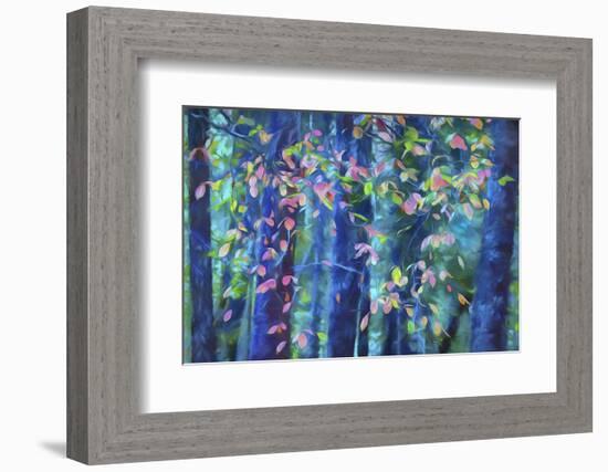 USA, Oregon, Rogue River National Forest. Abstract of Pacific dogwood leaves in autumn.-Jaynes Gallery-Framed Photographic Print