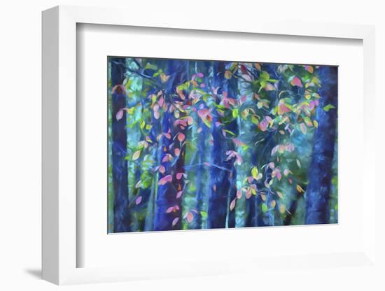 USA, Oregon, Rogue River National Forest. Abstract of Pacific dogwood leaves in autumn.-Jaynes Gallery-Framed Photographic Print