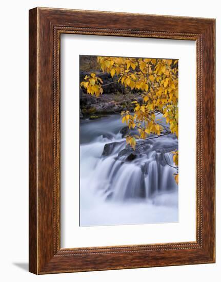 USA, Oregon. Rogue River Waterfalls in Autumn-Jean Carter-Framed Photographic Print