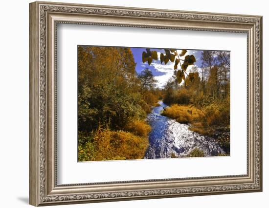 USA, Oregon. Scenic of Dieckman Creek-Steve Terrill-Framed Photographic Print