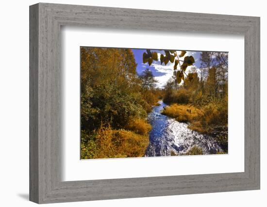 USA, Oregon. Scenic of Dieckman Creek-Steve Terrill-Framed Photographic Print