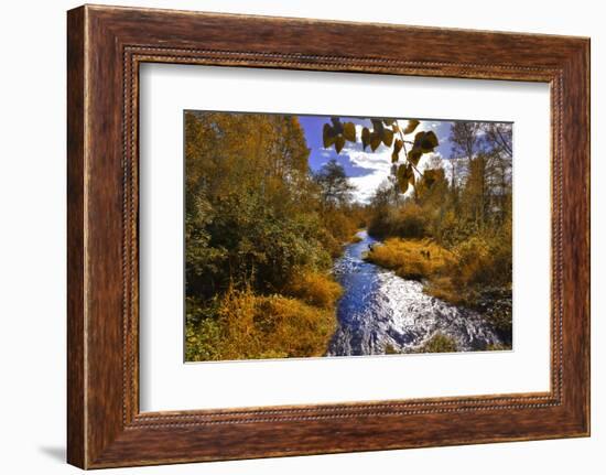 USA, Oregon. Scenic of Dieckman Creek-Steve Terrill-Framed Photographic Print