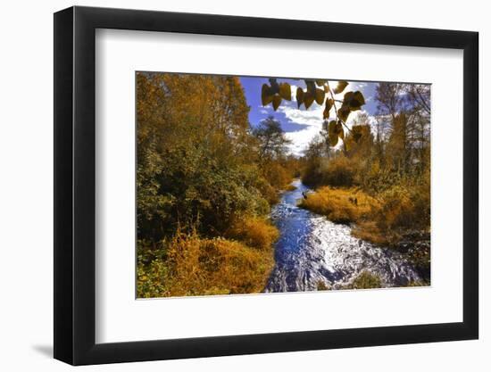 USA, Oregon. Scenic of Dieckman Creek-Steve Terrill-Framed Photographic Print