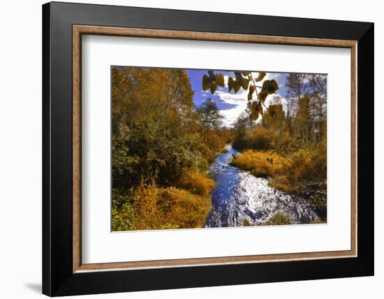 USA, Oregon. Scenic of Dieckman Creek-Steve Terrill-Framed Photographic Print