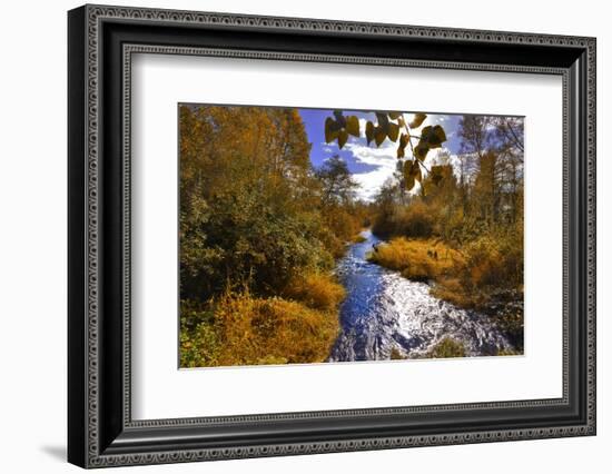 USA, Oregon. Scenic of Dieckman Creek-Steve Terrill-Framed Photographic Print