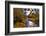 USA, Oregon. Scenic of Dieckman Creek-Steve Terrill-Framed Photographic Print