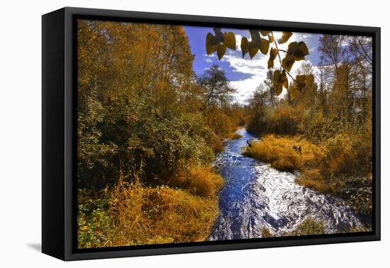 USA, Oregon. Scenic of Dieckman Creek-Steve Terrill-Framed Premier Image Canvas