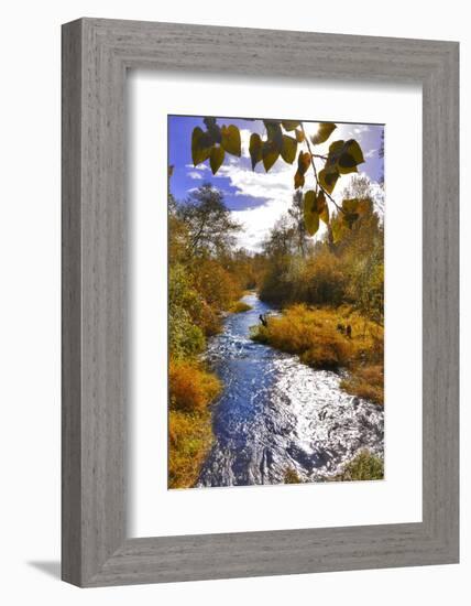 USA, Oregon. Scenic of Dieckman Creek-Steve Terrill-Framed Photographic Print