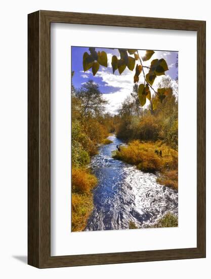 USA, Oregon. Scenic of Dieckman Creek-Steve Terrill-Framed Photographic Print