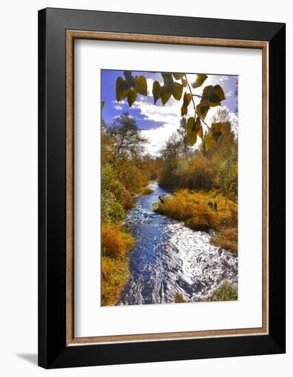 USA, Oregon. Scenic of Dieckman Creek-Steve Terrill-Framed Photographic Print