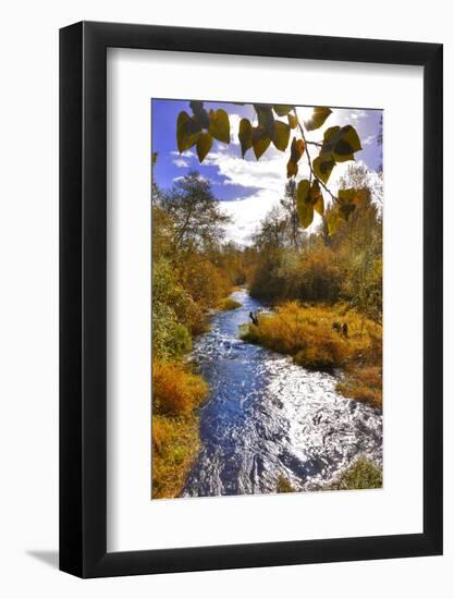 USA, Oregon. Scenic of Dieckman Creek-Steve Terrill-Framed Photographic Print