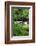 USA, Oregon. Scenic of Little Sandy River and Ferns-Steve Terrill-Framed Photographic Print