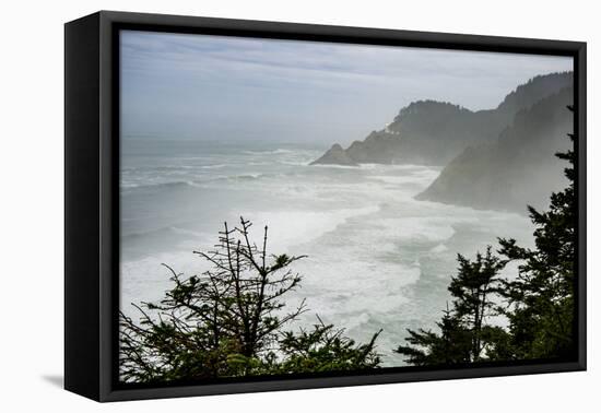 USA, Oregon. Seal Cove in fog on Pacific Coast Scenic Byway between Florence and Newport.-Alison Jones-Framed Premier Image Canvas