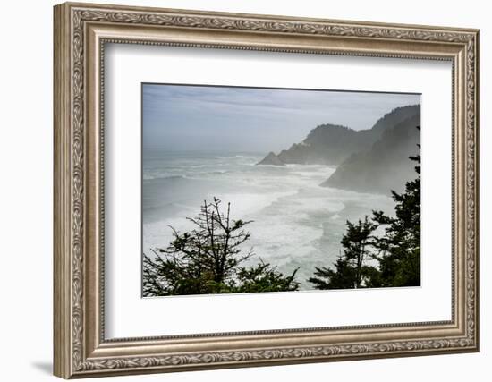 USA, Oregon. Seal Cove in fog on Pacific Coast Scenic Byway between Florence and Newport.-Alison Jones-Framed Photographic Print