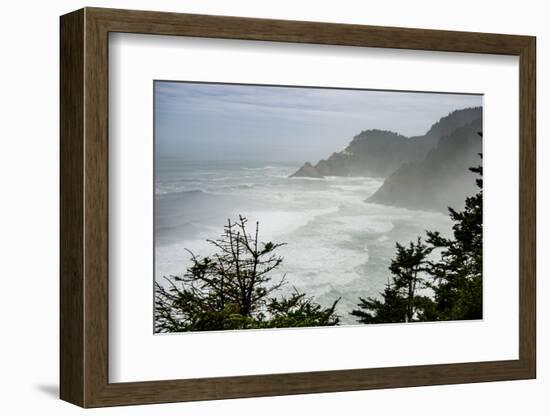 USA, Oregon. Seal Cove in fog on Pacific Coast Scenic Byway between Florence and Newport.-Alison Jones-Framed Photographic Print