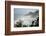 USA, Oregon. Seal Cove in fog on Pacific Coast Scenic Byway between Florence and Newport.-Alison Jones-Framed Photographic Print