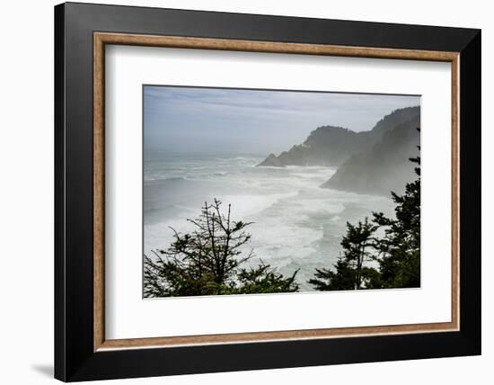 USA, Oregon. Seal Cove in fog on Pacific Coast Scenic Byway between Florence and Newport.-Alison Jones-Framed Photographic Print