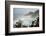 USA, Oregon. Seal Cove in fog on Pacific Coast Scenic Byway between Florence and Newport.-Alison Jones-Framed Photographic Print