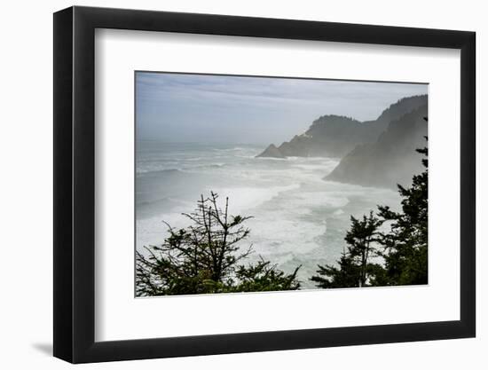 USA, Oregon. Seal Cove in fog on Pacific Coast Scenic Byway between Florence and Newport.-Alison Jones-Framed Photographic Print