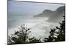 USA, Oregon. Seal Cove in fog on Pacific Coast Scenic Byway between Florence and Newport.-Alison Jones-Mounted Photographic Print