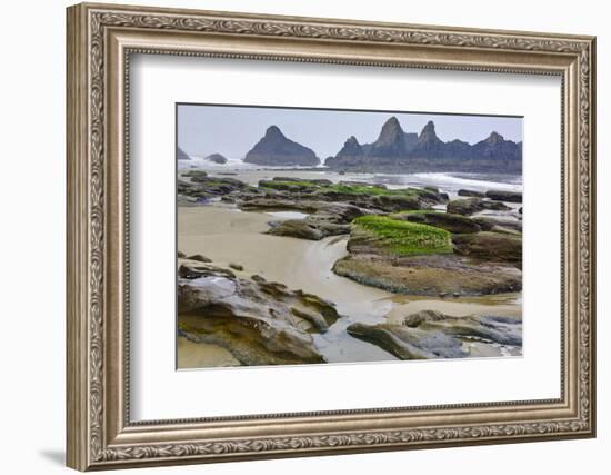 USA, Oregon, Seal Rock State Park. Rocky Beach at Low Tide-Jean Carter-Framed Photographic Print