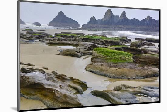 USA, Oregon, Seal Rock State Park. Rocky Beach at Low Tide-Jean Carter-Mounted Photographic Print