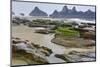 USA, Oregon, Seal Rock State Park. Rocky Beach at Low Tide-Jean Carter-Mounted Photographic Print