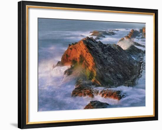 USA, Oregon, Shore Acres State Park. Sunset Light on Ocean Shore Cliffs-Jaynes Gallery-Framed Photographic Print