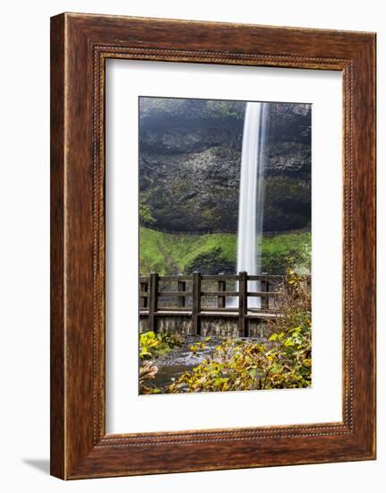 USA, Oregon, Silver Falls State Park, Falls-Hollice Looney-Framed Photographic Print