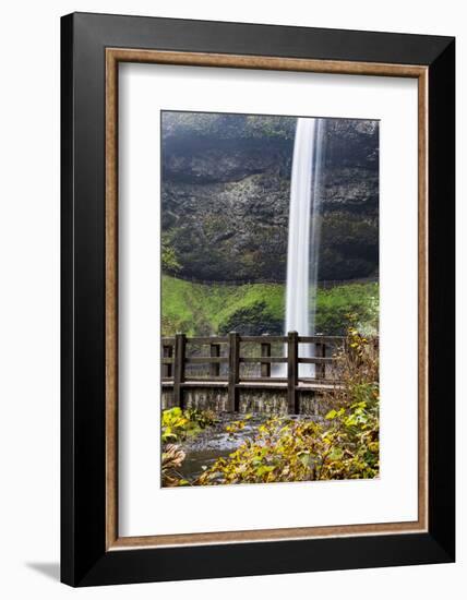 USA, Oregon, Silver Falls State Park, Falls-Hollice Looney-Framed Photographic Print