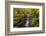 USA, Oregon, Silver Falls State Park. Lower South Falls waterfall landscape.-Jaynes Gallery-Framed Photographic Print