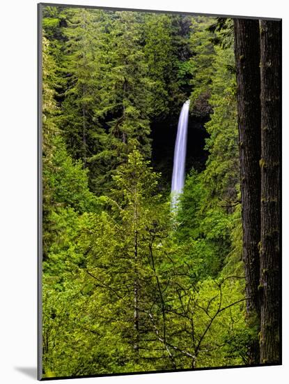 USA, Oregon, Silver Falls State Park, North Falls-Joe Restuccia III-Mounted Photographic Print
